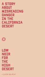 Load image into Gallery viewer, A PLACE TO BURY STRANGERS
