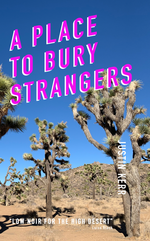 Load image into Gallery viewer, A PLACE TO BURY STRANGERS
