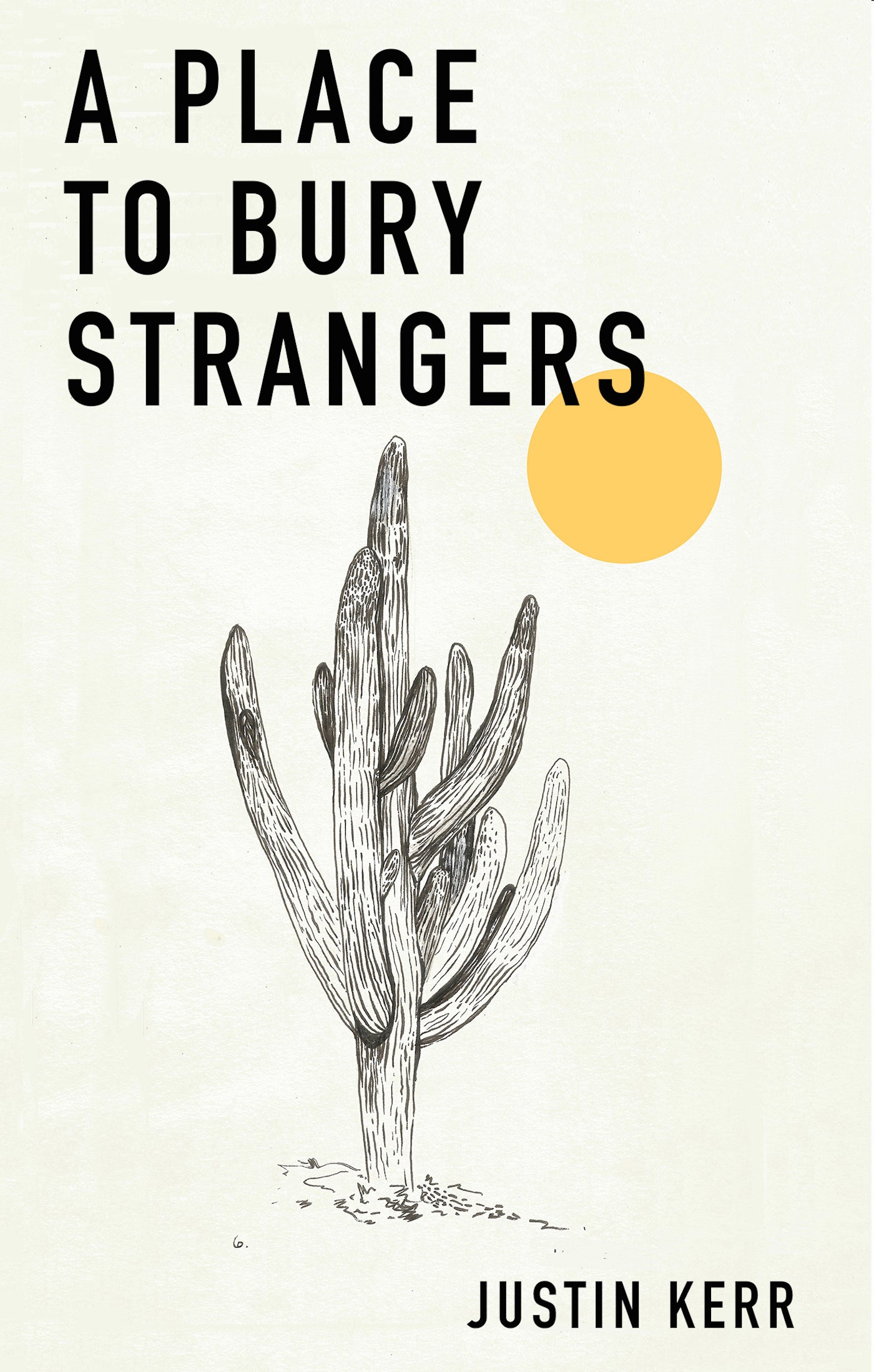 A PLACE TO BURY STRANGERS