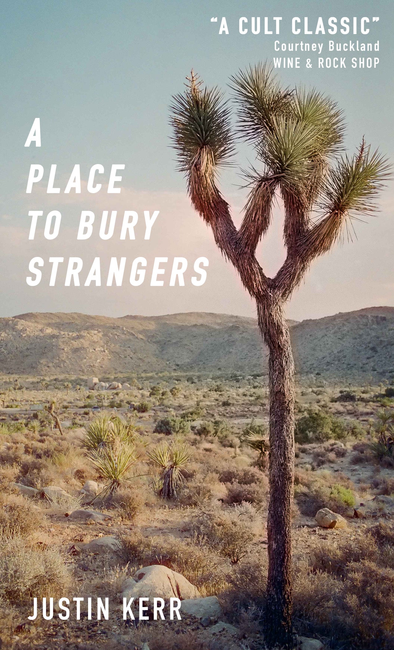 A PLACE TO BURY STRANGERS