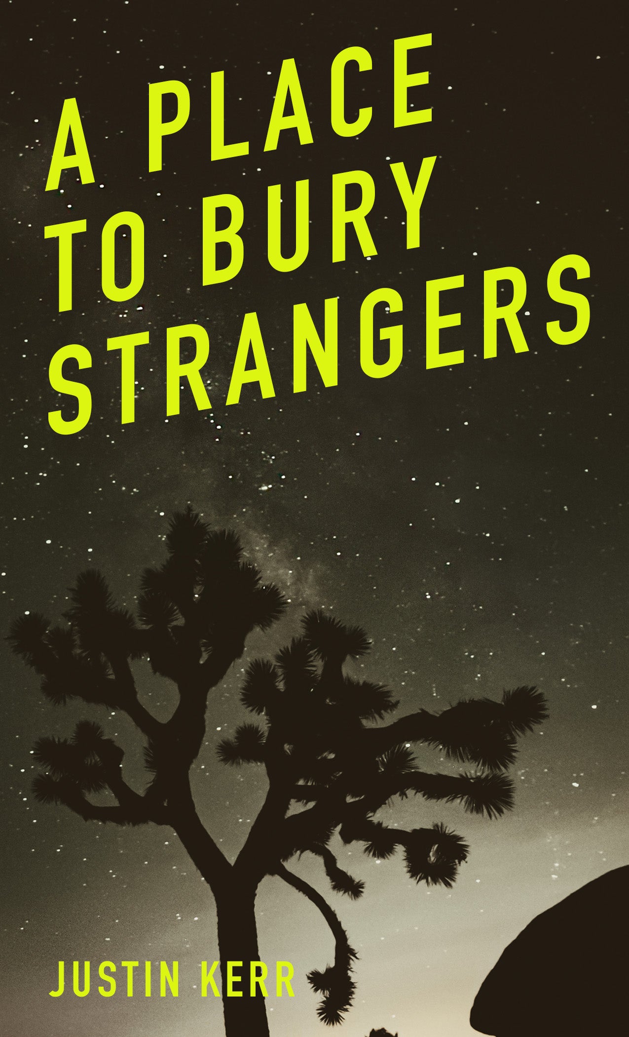 A PLACE TO BURY STRANGERS