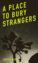 Load image into Gallery viewer, A PLACE TO BURY STRANGERS
